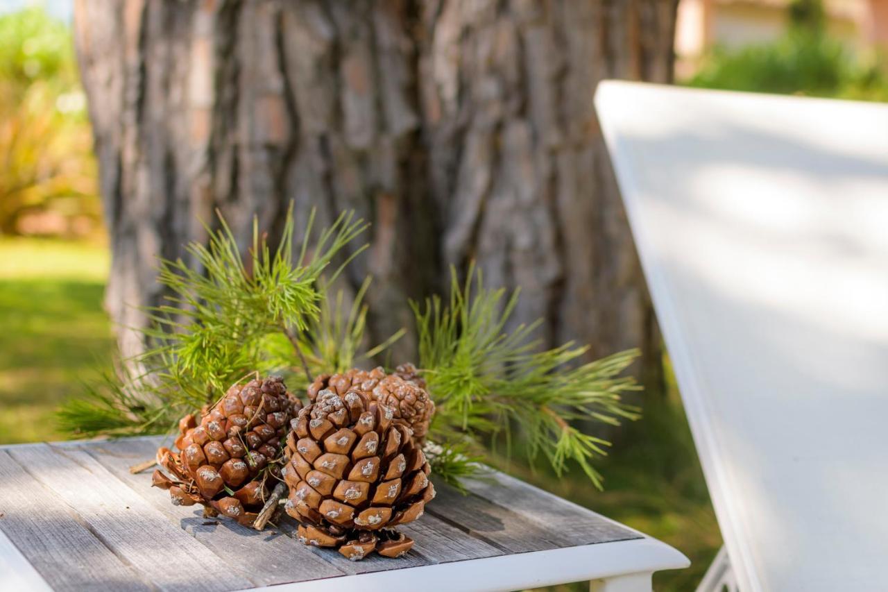 Les Pins De Santa Giulia Villa Porto-Vecchio  Luaran gambar